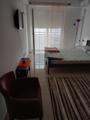 Apartman Savić plus